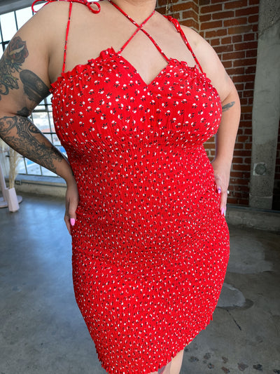 LIA Red Floral Print Dress